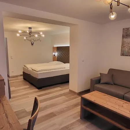 酒店 盖格酒店 4*