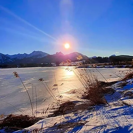 Geiger Füssen