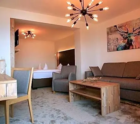 Hotel Geiger 4*